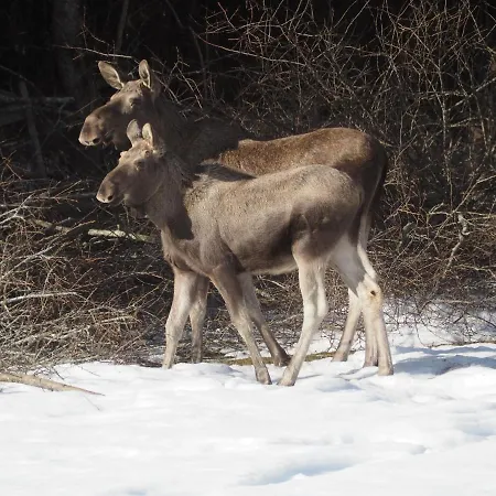 With Great View Close To Town And Area 山林小屋