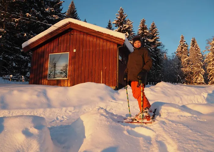 Lodge With Great View Close To Town And Area